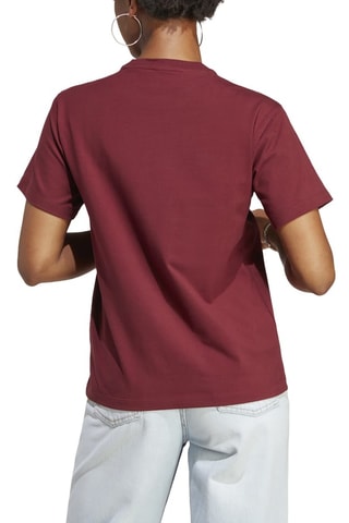 T-shirt Adicolor - Bordeauxrood