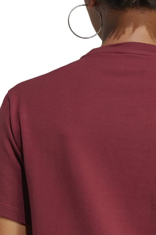 T-shirt Adicolor - Bordeauxrood