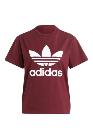 T-shirt Adicolor - Bordeauxrood