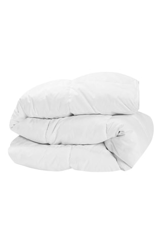 Couette extra chaude plumes d'oie - anti-acariens - polyester 500 g/m²