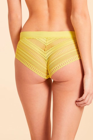 Hipster Délice Anijsgroen