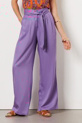 Broek Hoge Taille - Paars