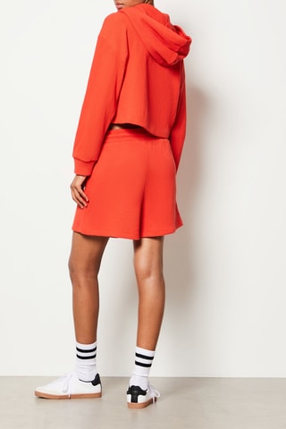 Korte Sweater - Oranje