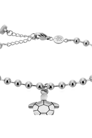 Conjunto Prateado e preto