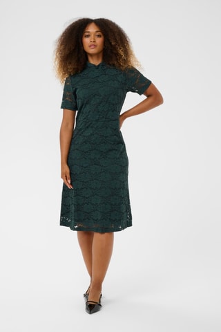 Vestido direito em renda - Verde-escuro