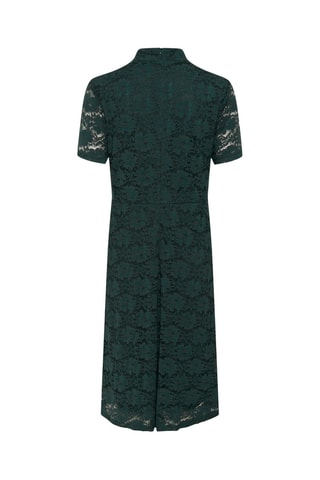 Vestido direito em renda - Verde-escuro