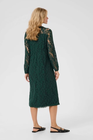 Vestido direito em renda - Verde-escuro