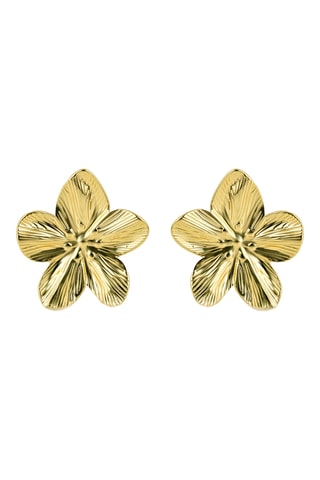 Pendientes - Chapado en oro amarillo - Emily Westwood