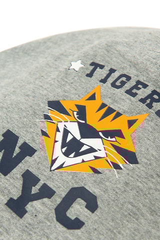 Muts - gemêleerd lichtgrijs