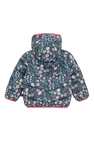 Gewatteerde Jas met Capuchon - Marineblauw