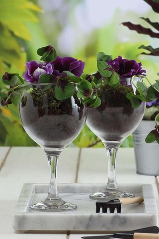 6 verres à pied - 21 cl