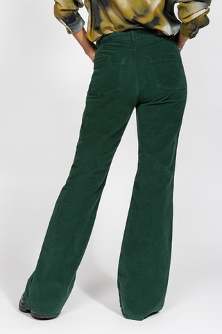 Calças em veludo - Verde