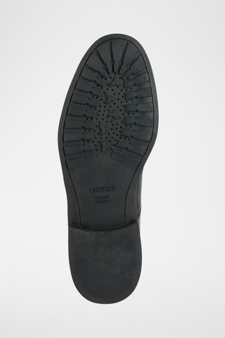 Leren Derby’s Tiberio - Donkerbruin