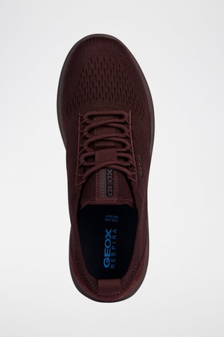 Gympen Spherica - Bordeauxrood