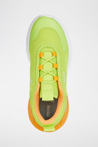 Gympen Calzature - Lichtgroen