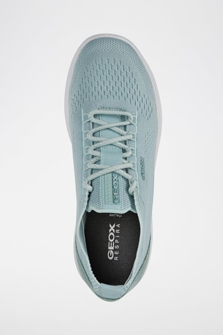 Gympen Spherica - Zeegroen