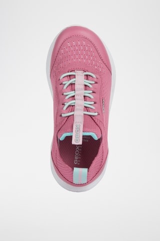 Sneakers Sprintye G.B - Fuchsia