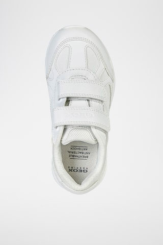 Sneakers Pavel - Wit