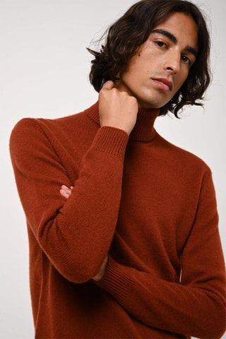 Pull Martin 100% cachemire, 4 fils - Col montant - Ecureuil, 340 g