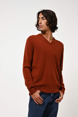 Pull Victor 100% cachemire, 4 fils - Col en V - Ecureuil, 268 g