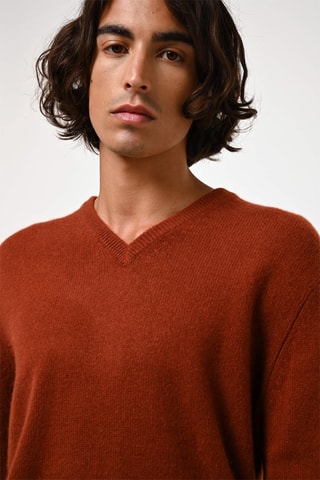 Pull Victor 100% cachemire, 4 fils - Col en V - Ecureuil, 268 g