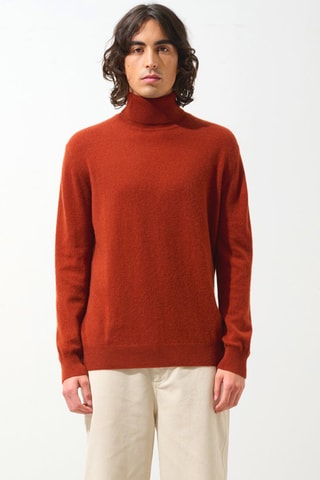 Pull Bange 100% cachemire, 2 fils - Col montant - Ecureuil