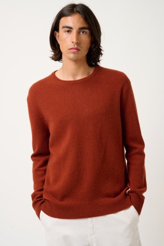 Pull Victo 100% cachemire, 4 fils - Col rond - Ecureuil