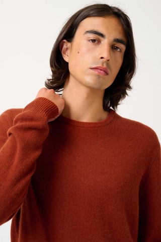 Pull Victo 100% cachemire, 4 fils - Col rond - Ecureuil