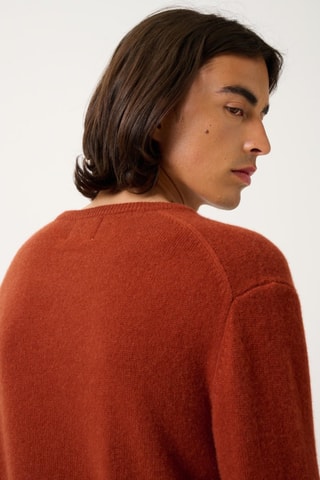 Pull Victo 100% cachemire, 4 fils - Col rond - Ecureuil