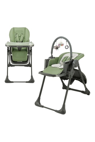 2-in- 1 Kinderstoel Tummie - Vanaf de Geboorte - Tot 15 kg