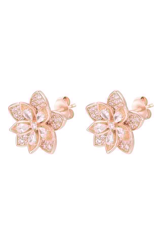 Oorbellen Zilver Doublé Roségoud