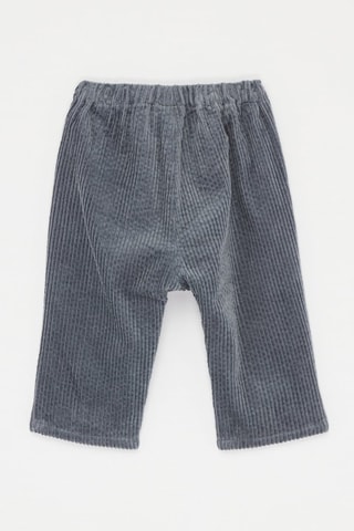 Broek Blauwgrijs