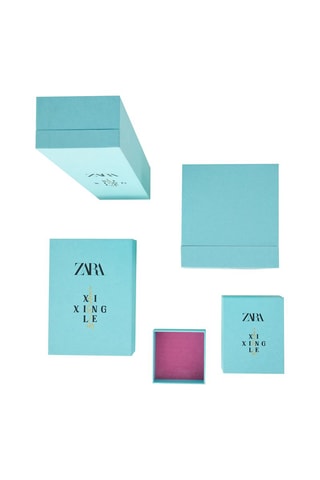 Haarklem - Zilverkleurig