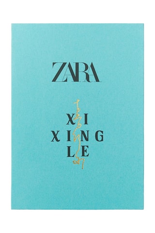 Haarklem - Zilverkleurig