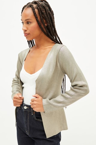 Vest - Zilverkleurig