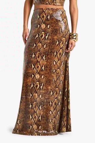 Saia comprida - Castanho