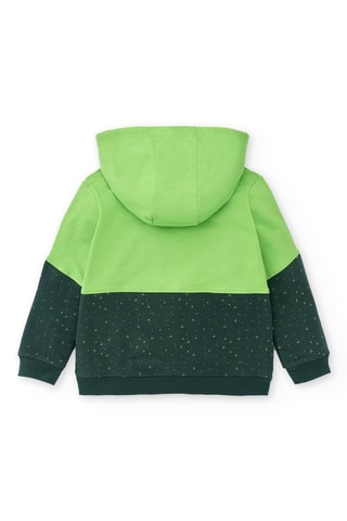 Sweat à capuche - Vert clair