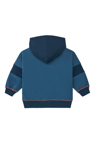 Sweat à capuche - Vert foncé