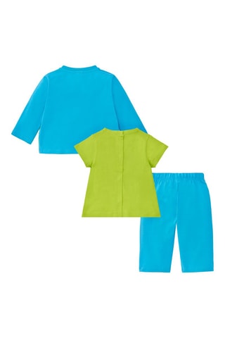 3-delige set Water Lilies - Blauw en groen