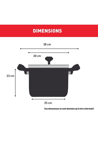 Marmite traiteur en acier inoxydable Intuition XL - 28 cm - 12 l
