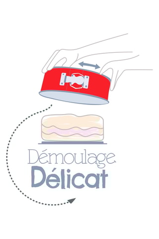Moule à gâteau à charnière Delibake - 17 cm