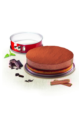 Moule à gâteau à charnière Delibake - 17 cm