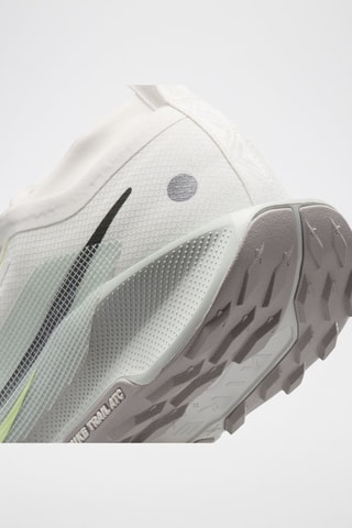 Nike Pegasus Trail 5 GORE-TEX - Blanco
