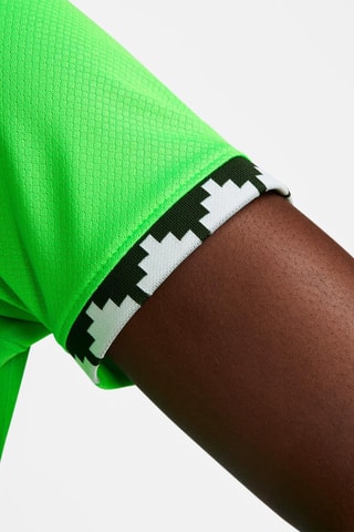 Camiseta de fútbol Federación Nigeriana de Fútbol - Verde