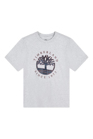 T-shirt en coton biologique - Gris clair chiné - Timberland 