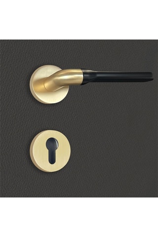 2 poignées de porte à cylindre Daniela - 13,9 x 5,2 cm - aspect or et noir