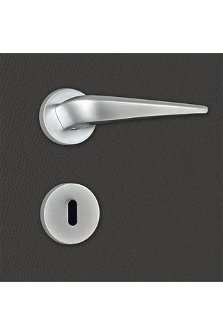 2 poignées de porte à clé Alissia - 13,7 x 6,3 x 3,3 cm - aspect chrome mat