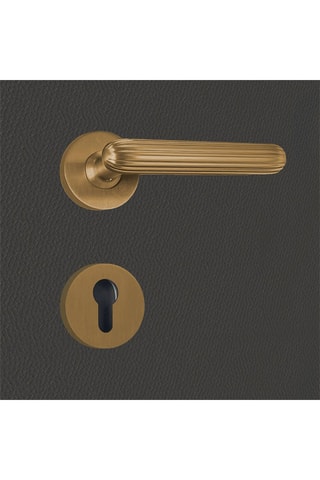 2 poignées de porte à cylindre Tina - 13 x 6 x 3,9 cm - aspect or mat