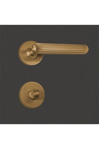 2 poignées de porte à condamnation Tina - 13 x 6 x 3,9 cm - aspect or mat