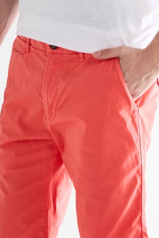 Bermuda - Koraalrood